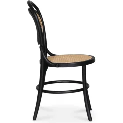 Alicia stol böjträ - Svart/rotting + Fläckborttagare för möbler