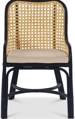 Anton matstol i rotting med dyna + Textilrengöring för möbler