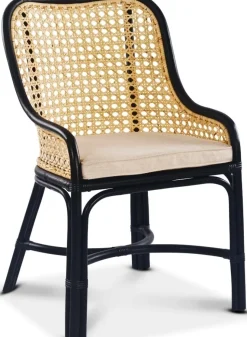 Anton matstol i rotting med dyna + Möbeltassar