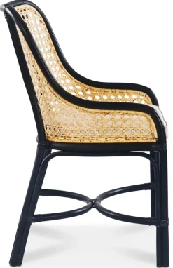 Anton matstol i rotting med dyna + Möbeltassar