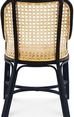 Anton matstol i rotting med dyna + Möbeltassar