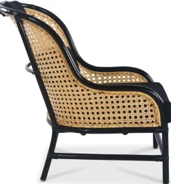 Anton svart fåtölj i rotting + Fläckborttagare för möbler