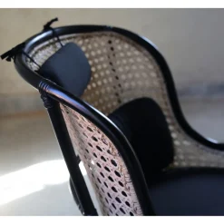 Anton svart fåtölj i rotting + Fläckborttagare för möbler