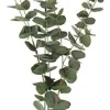 Eucalyptus konstväxt