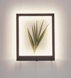 Frame vägglampa 41x33 cm - Svart