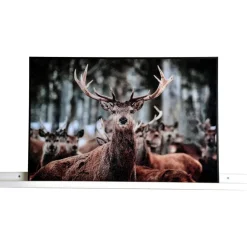 Frikk tavellist 120 cm - Vitlackad björk