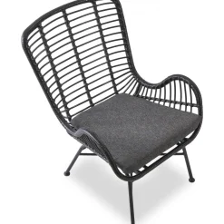 Fåtölj Svart - Minos + Textilrengöring för möbler