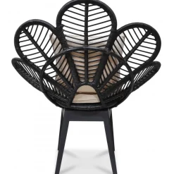 Fåtölj svart/rotting - Peacock + Fläckborttagare för möbler