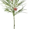 Grevillea konstväxt