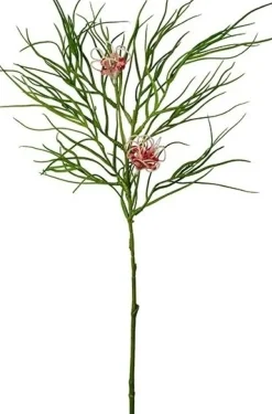 Grevillea konstväxt