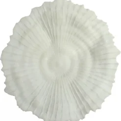 Korall väggdekoration D 56 cm - Ljus