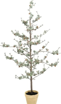 Lärkträd konstväxt