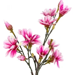Magnoliaträd konstväxt - Rosa