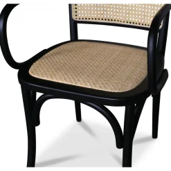 Malmby karmstol böjträ svart/rotting + Möbeltassar