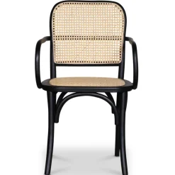 Malmby karmstol böjträ svart/rotting + Fläckborttagare för möbler