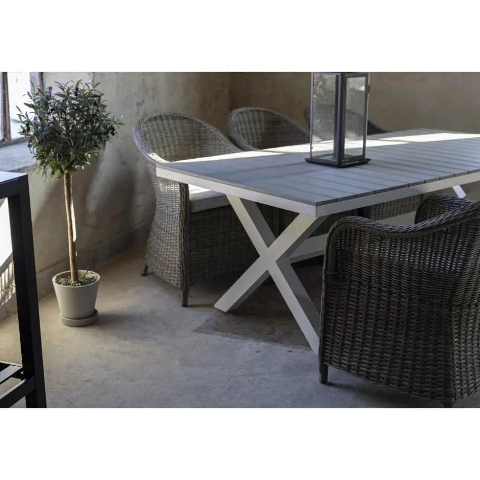 Matgrupp Mercury bord inkl 6 st fåtöljer - Konstrotting/Vit aluminium