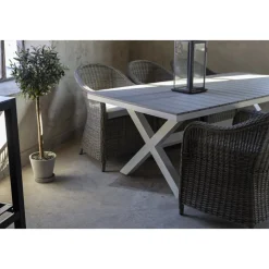 Matgrupp Mercury bord inkl 6 st fåtöljer - Konstrotting/Vit aluminium + Fläckborttagare för möbler