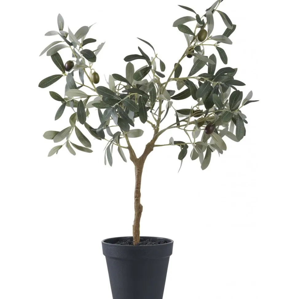 Olivträd konstväxt - H:61 cm