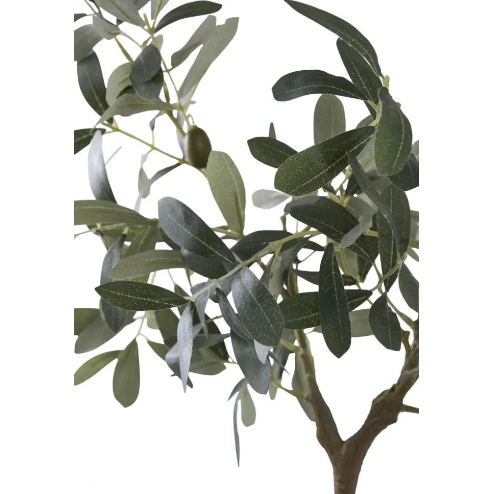 Olivträd konstväxt - H:61 cm