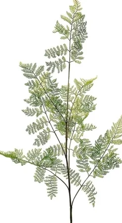 Ormbunksblad konstväxt