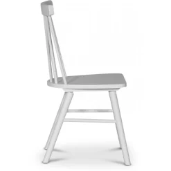 Orust pinnstol vit + Textilrengöring för möbler