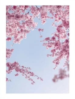 Posterworld - Motiv Flower in the sky - 70x100 cm