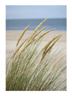Posterworld - Motiv Windy Beach - 70 x 100 cm