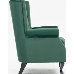 Öronlappsfåtölj i grön sammet + Fläckborttagare för möbler