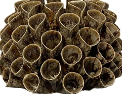 Shelly ljuslykta 12 x 12 x 7 cm - Brun