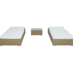 Solsängar 2 st med bord - Natur rotting + Rengöringsmedel för utemöbler