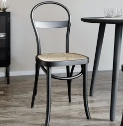 Stol i böjträ med rotting sits + Stolsdyna