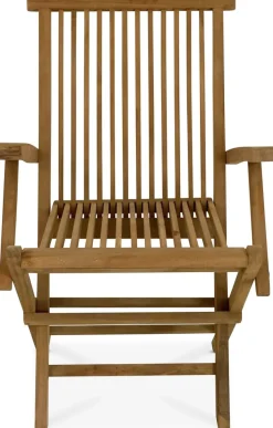 Teakstol med armstöd - Saltö + Textilrengöring för möbler