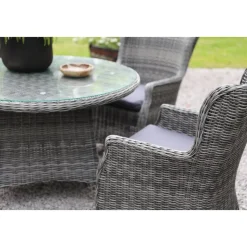 Utefåtölj grå med dyna - Jacksonville + Fläckborttagare för möbler