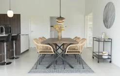 Utestol med dyna - Natur + Fläckborttagare för möbler