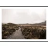 WILDERNESS - Poster 50x70 cm
